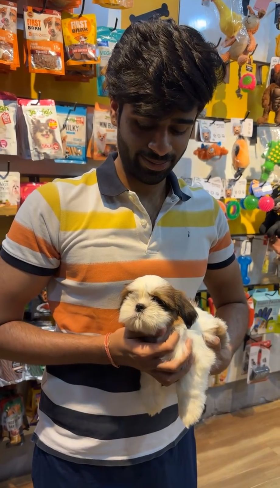 Dogs For Sale In Mumbai