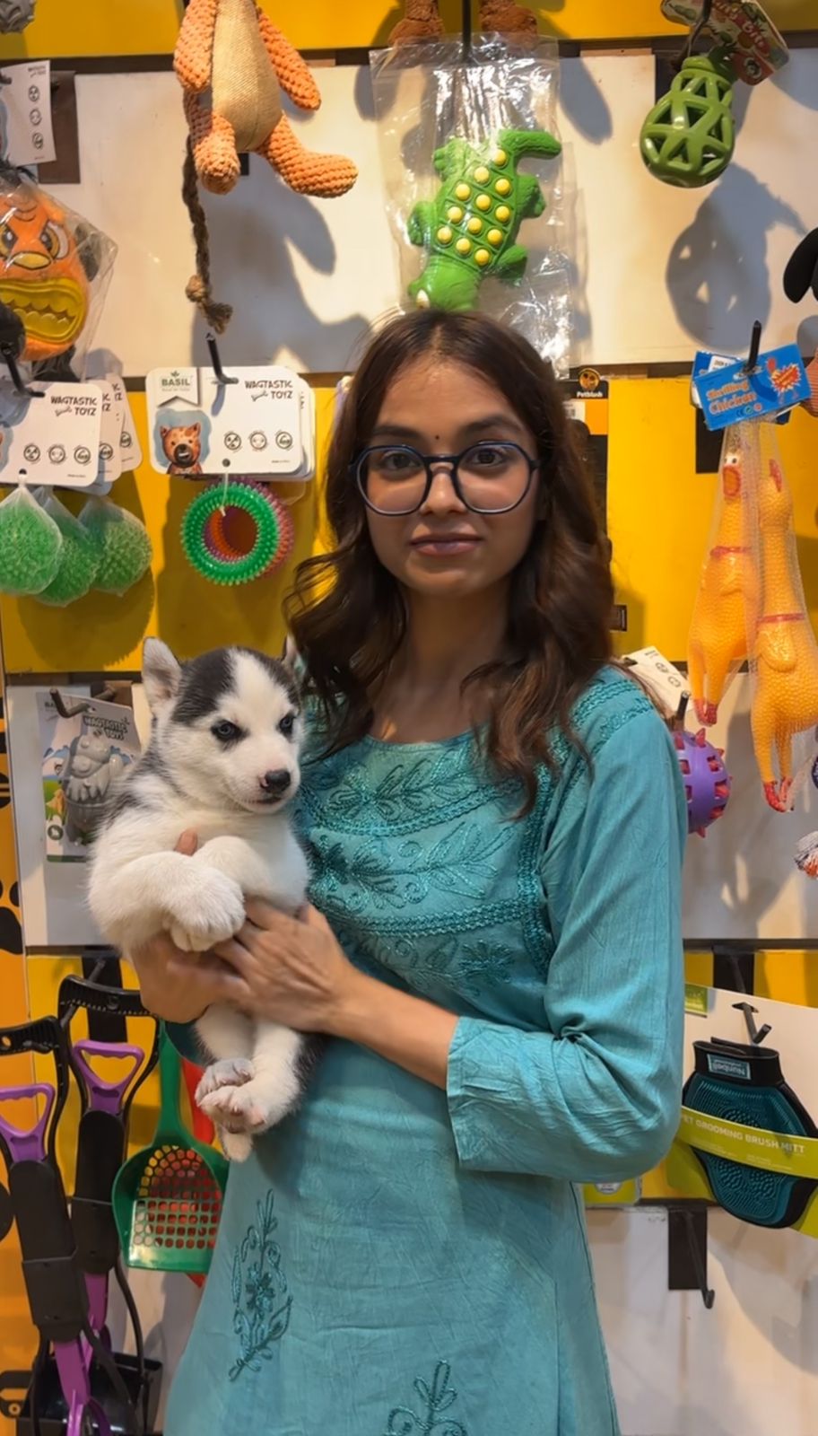 Puppies For Sale In Pune